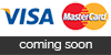 visa master card